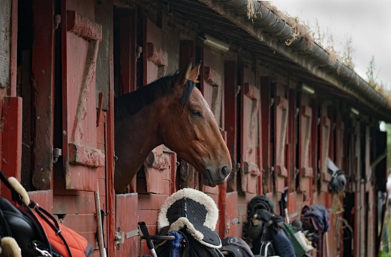 The Carriage House Stable, New York